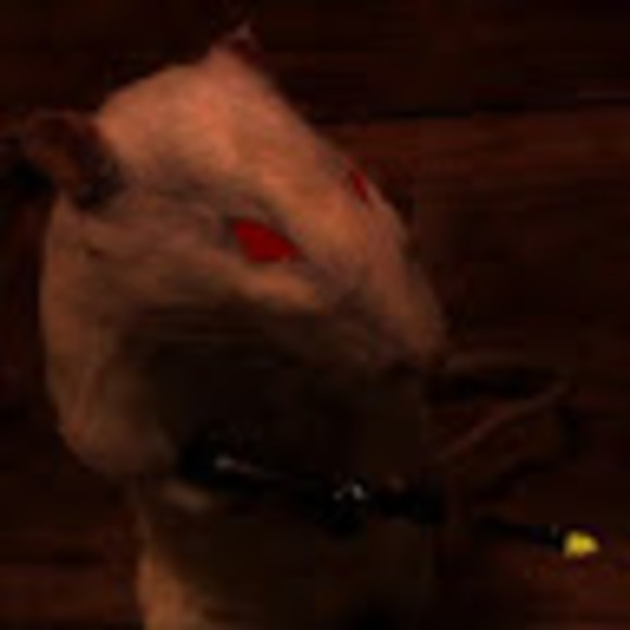 Meet your Posher, Dumnb - Picture 1 of 1